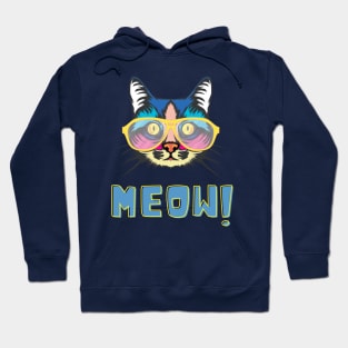 Swag of colorful cat Hoodie